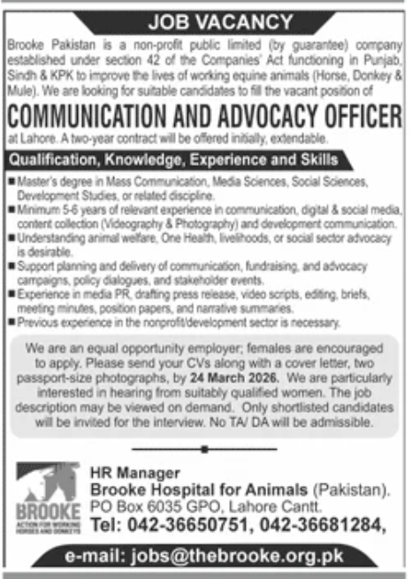 Advertisement attachment