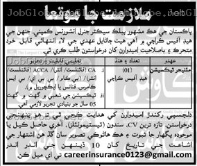 Advertisement attachment