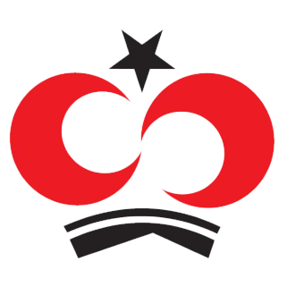 Shaukat Khanum Memorial Cancer Hospital and Research Center logo