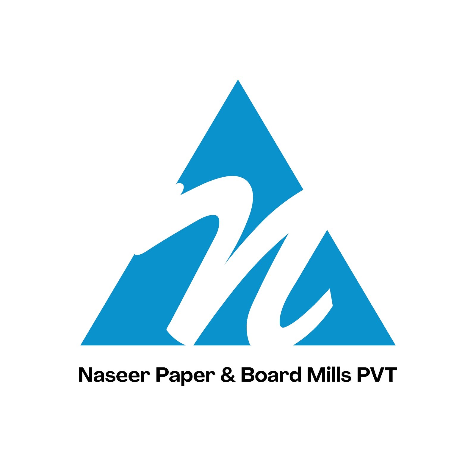 Naseer Paper & Board Mills (Pvt) Ltd logo