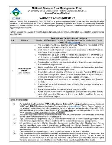 Chief Financial Officer (CFO)