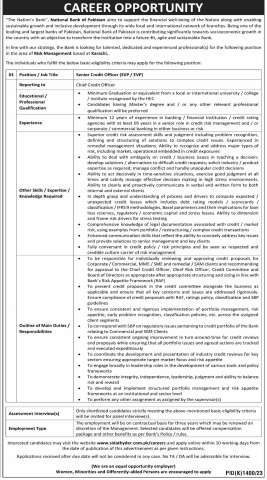 Senior Credit Officer (SVP / EVP)