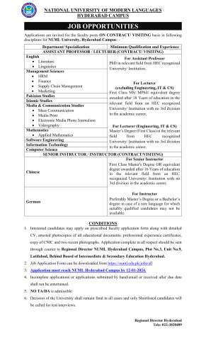 Assistant Professors / Lecturers / Visiting Faculty
