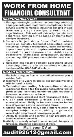 Financial Consultant