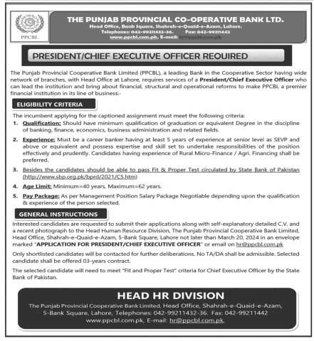 Chief Executive Officer