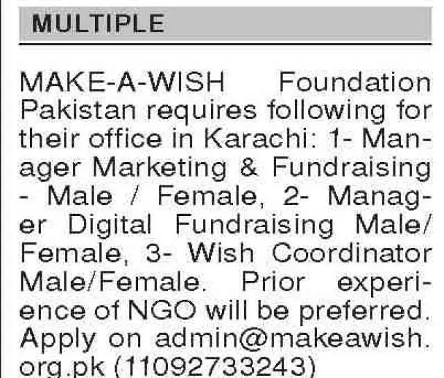 Manager Digital Fundraising