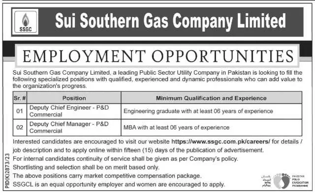 Deputy Chief Engineer - P&D Commercial