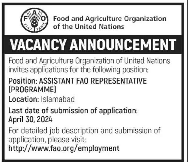 Assistant Fao Representative