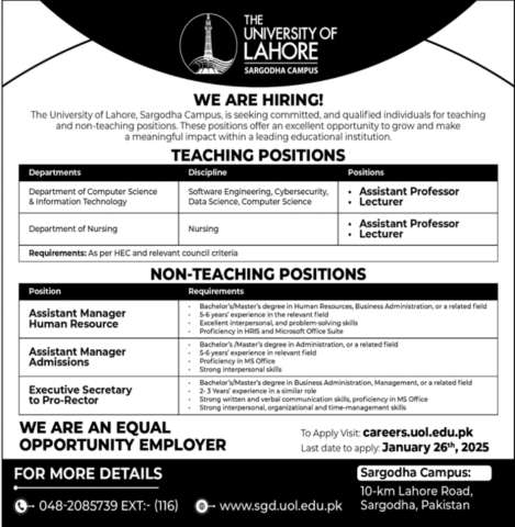 Assistant Professor - Software Engineer