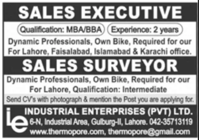 Sales Executive